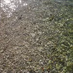 Appartamento Nikica Traù